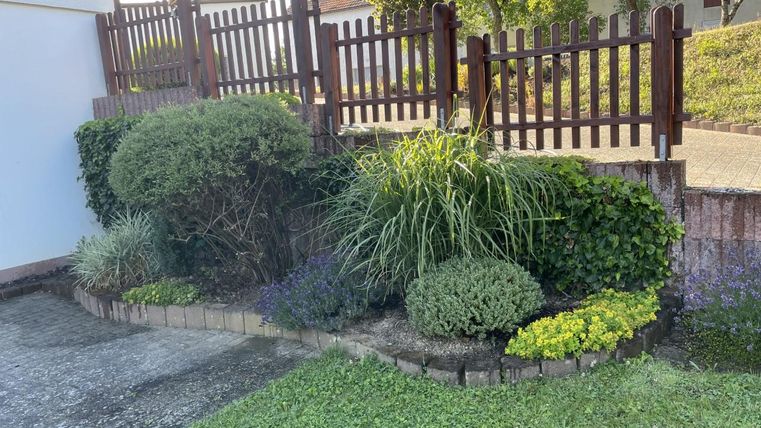 Een mooie tuingelegenheid met verschillende planten en een verzorgde haag. Daarachter staat een houten lattenhek.