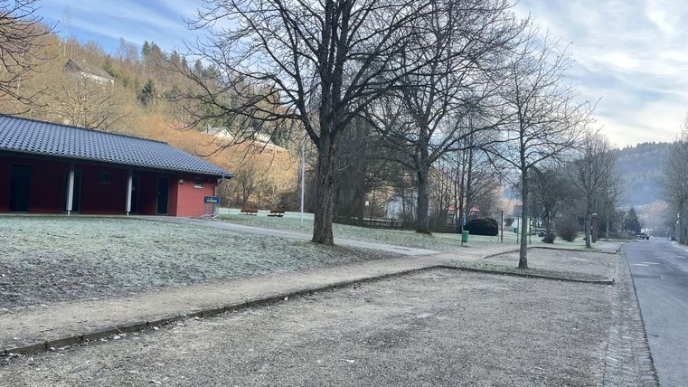 Ein ruhiger Park mit kahlen Bäumen und frostigem Boden. Im Hintergrund sind Gebäude und sanfte Hügel zu sehen.
