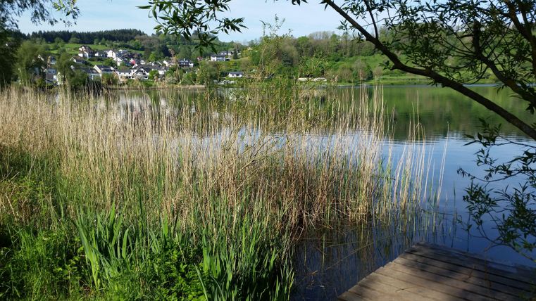 Ein ruhiger See umgeben von hohen Gräsern und sanften Bäumen. Im Hintergrund sind die grünen Hügel und kleine Häuser zu sehen.