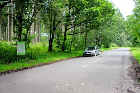 Eine ruhige Straße in einem Wald mit viel grünem Laub. Ein Auto steht an der Seite der Straße.