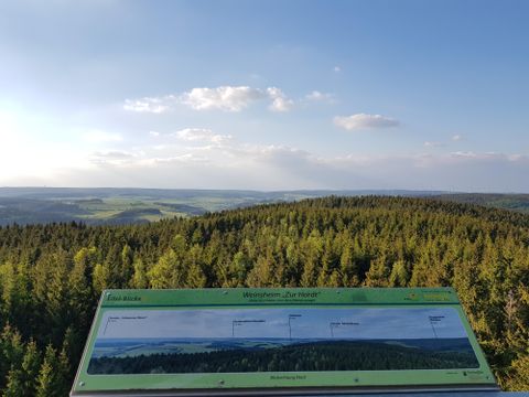 A view from a viewpoint over a green forest landscape under a blue sky. In the foreground, an information sign can be seen.