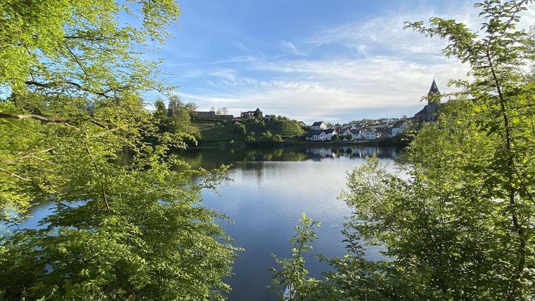 Ein ruhiger See, umgeben von grünen Bäumen. Im Hintergrund sind Häuser und ein blauer Himmel zu sehen.