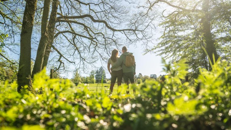 Een paar staat in een groene landschap onder bomen. De zon schijnt en er is een heldere, blauwe lucht te zien.