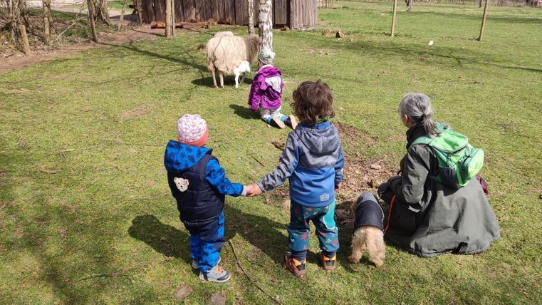 Zwei Kinder halten Händchen und beobachten eine Schafherde auf einer Wiese. Eine Erwachsene sitzt daneben und genießt die Natur.