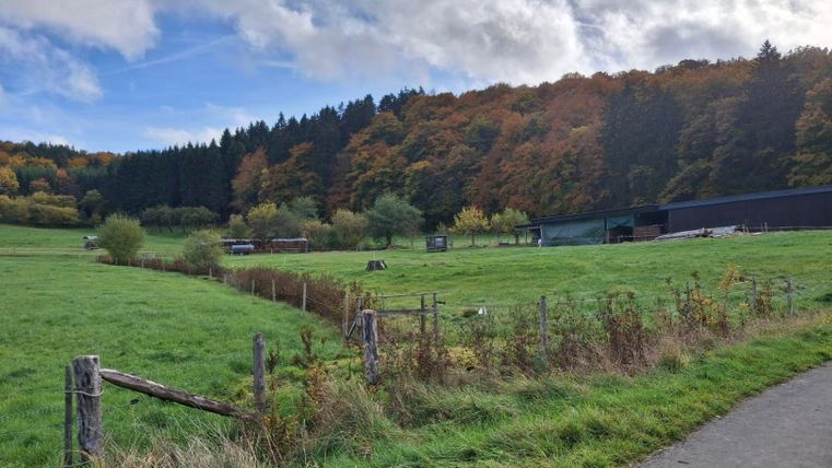 Eine grüne Wiese mit einem Weg und einem Zaun, umgeben von Wäldern in herbstlichen Farben. Im Hintergrund sind einige Gebäude und Bäume sichtbar.