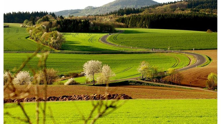 Een heuvelachtige landschap met groene velden en zachte krommingen. Op de voorgrond bloeien bomen en de omgeving is aangenaam verlicht.