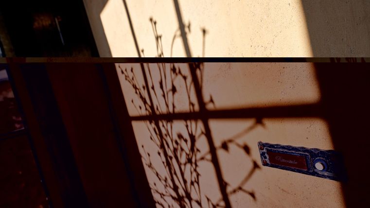 A shadow of a plant pattern falls on a wall. In the background, a door handle is visible.