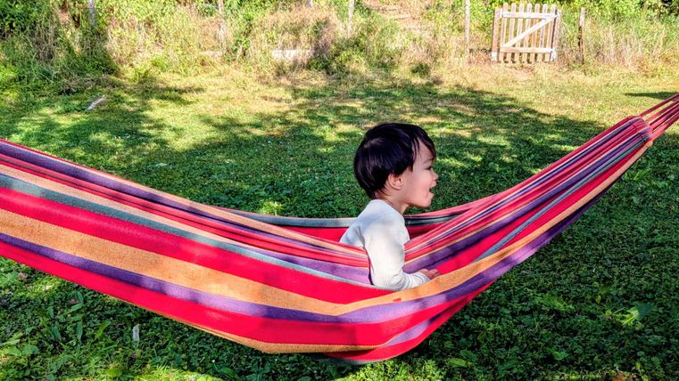 A boy is sitting in a colorful hammock on a green meadow. In the background, trees and a gate can be seen.