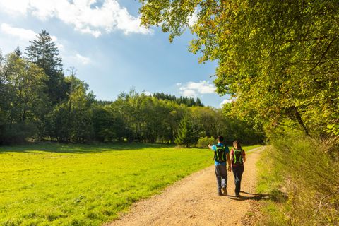 Twee wandelaars lopen over een grindpad door een groene landschap. Op de achtergrond zijn bomen en een blauwe lucht te zien.