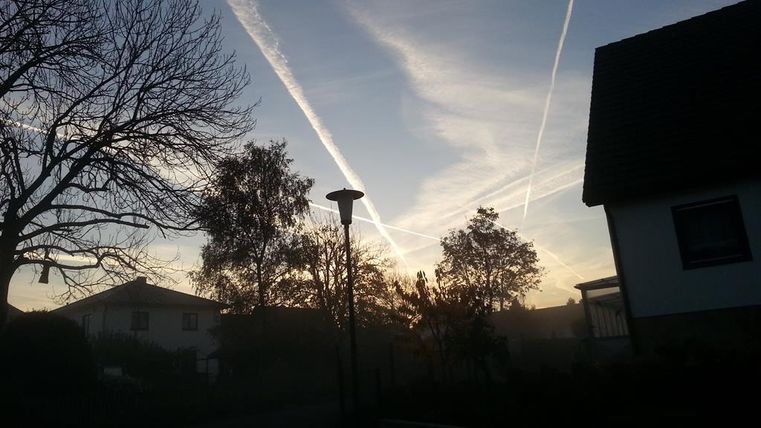 A tranquil morning landscape with fog and silhouetted trees. In the sky, there are airplane trails and a soft light.