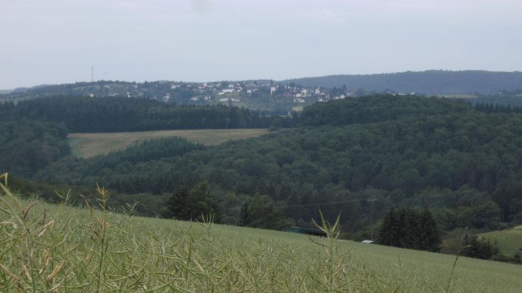 Eine weite Landschaft mit sanften Hügeln und Bäumen. Im Hintergrund sind kleine Ortschaften und ein bewölkter Himmel zu sehen.