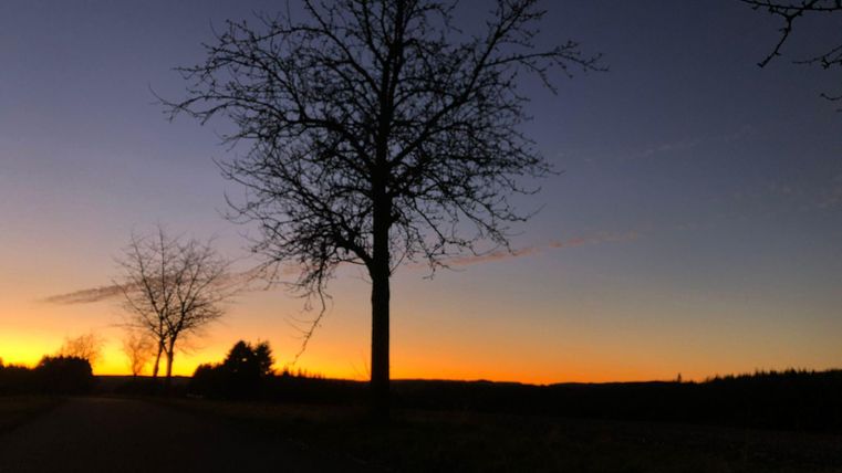 A picturesque sunset with silhouetted trees. The sky displays beautiful colors of orange and blue.