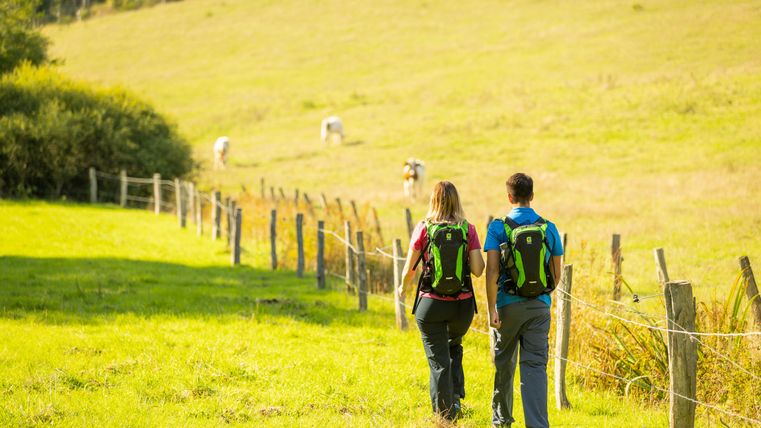 Zwei Wanderer mit Rucksäcken gehen auf einem Feldweg entlang eines Zauns, im Hintergrund weiden Kühe auf einer Wiese.