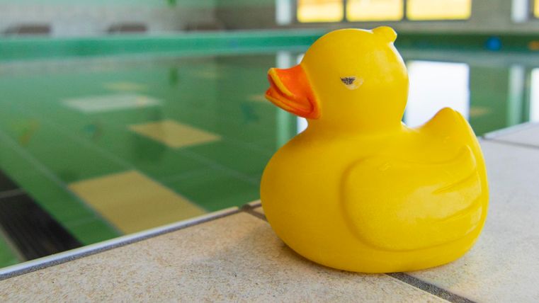 Een gele rubberen eend op de rand van een zwembad. Op de achtergrond is water en een raam te zien.