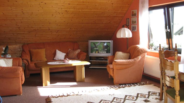 A cozy living room with an orange sofa and a television. The room has wooden ceilings and large windows that let in plenty of light.