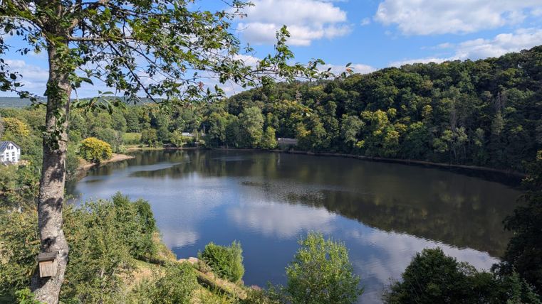 Een rustige meer omgeven door groene bossen en zachte heuvels.