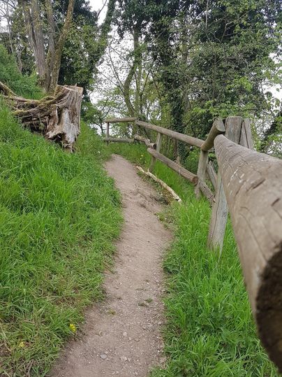 Ein schmaler Wanderweg umgeben von grüner Wiese und Bäumen. Auf der Seite verläuft ein Holzgeländer.