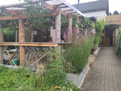 Ein gemütlicher Garten mit einem Holzbau, der von Pflanzen umgeben ist. Ein gepflasterter Weg führt zum Eingang des Hauses.