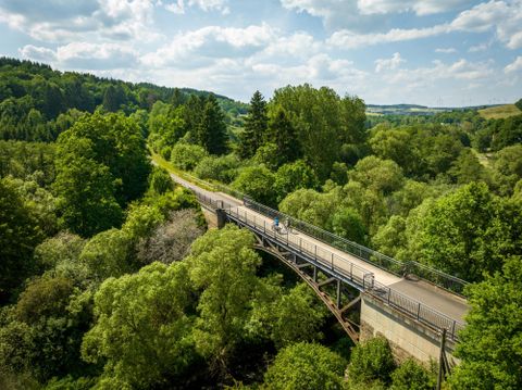 Waldlandschaft mit einem Radweg mittendrin, welcher über eine Brück über die Bäume hinweg führt.