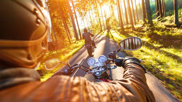 Ein Motorradfahrer fährt durch einen sonnigen Waldweg. Die Sonne scheint durch die Bäume und schafft eine warme, einladende Atmosphäre.