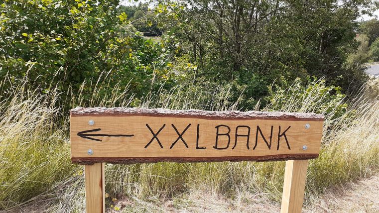 Wooden sign with the inscription 'XXL BANK' and an arrow pointing left, surrounded by grass and trees.
