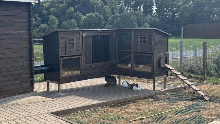 Ein Hühnerhaus mit zwei Abteilen steht auf einem gepflasterten Boden. Im Hintergrund sieht man einen grünen Wald und blauen Himmel.