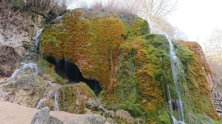 A moss-covered rock with small waterfalls. The natural surroundings convey a calm and idyllic atmosphere.