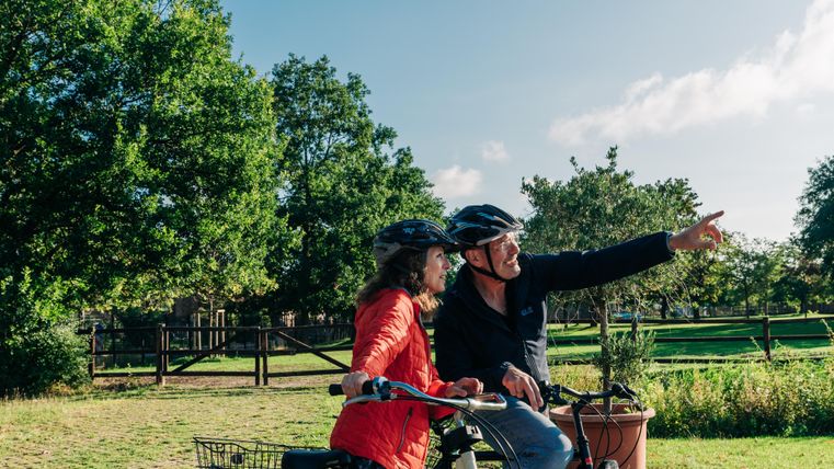 Ein glückliches Paar fährt mit dem Fahrrad durch einen grünen Park. Sie tragen Helme und genießen die Aussicht.