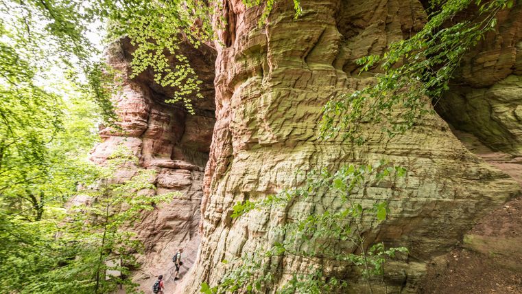 Ein malerischer Waldweg umgeben von hohen Felsen und grünen Bäumen. Wanderer erkunden die Naturlandschaft.