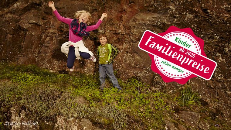 Twee kinderen hebben plezier in de natuur. Het meisje springt vrolijk naast de jongen op een groene weide.