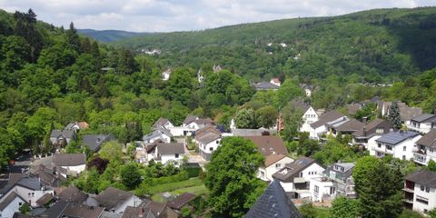 Eine malerische Landschaft mit vielen grünem Bäumen und einem kleinen Dorf. Die Häuser sind umgeben von einer ruhigen, natürlichen Umgebung.