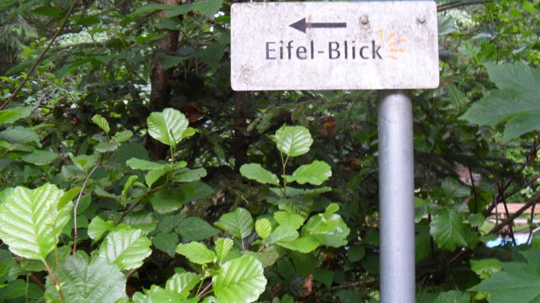 Ein Wegweiser zeigt nach links zum "Eifel-Blick". Umgeben von grünen Blättern und Bäumen.