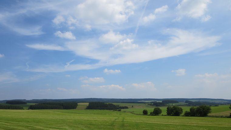 Een ruime weidelandschap onder een blauwe lucht met enkele wolken. Op de achtergrond zijn zachte heuvels en bomen te zien.