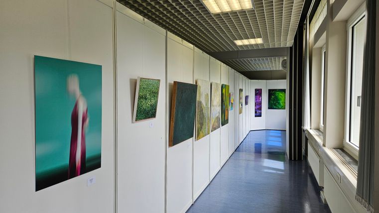 A bright exhibition space with several artworks on the walls. The images depict various abstract and natural motifs.