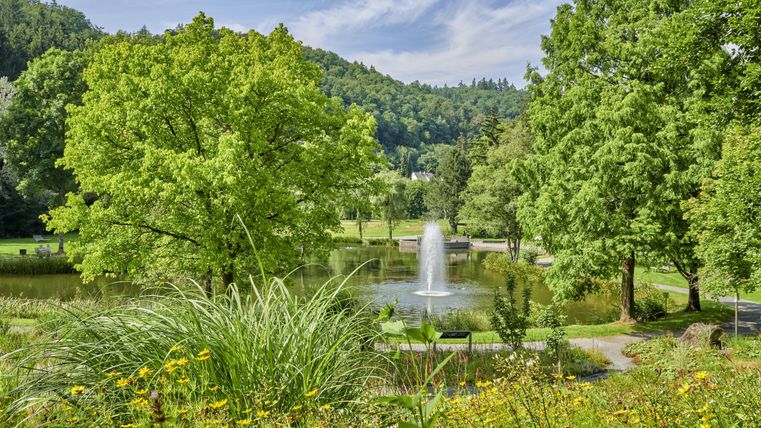 Ein schöner Park mit einem Teich und sprudelndem Brunnen. Üppige grüne Bäume und Blumen umgeben die malerische Landschaft.