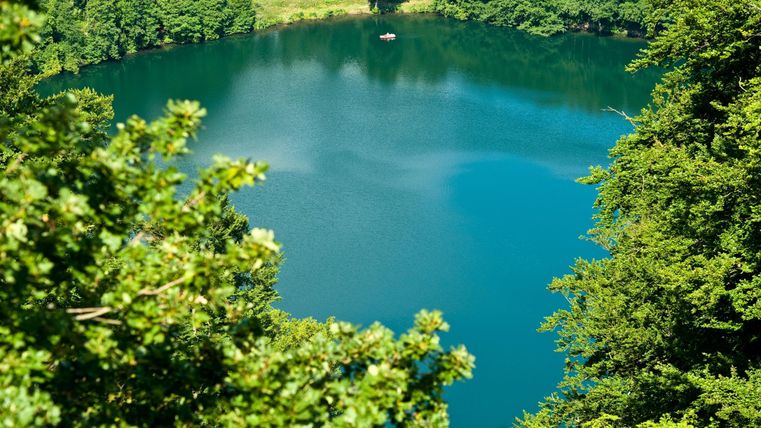 Ein ruhiger, blauer See umgeben von grünen Bäumen und Wiese. Die Wasseroberfläche spiegelt die Natur wider.