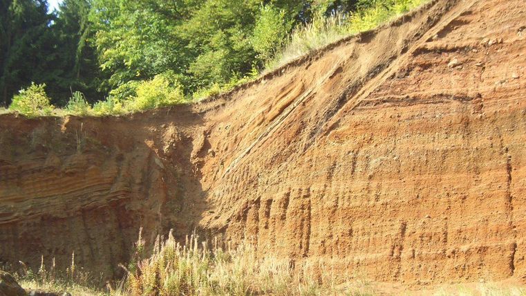Steep volcanic wall with eroded layers, surrounded by green vegetation and plants in the foreground.
