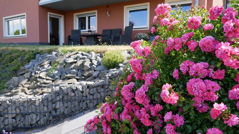 A beautiful garden with pink rose blossoms and a stone slope. In the background, a modern building with a seating area is visible.