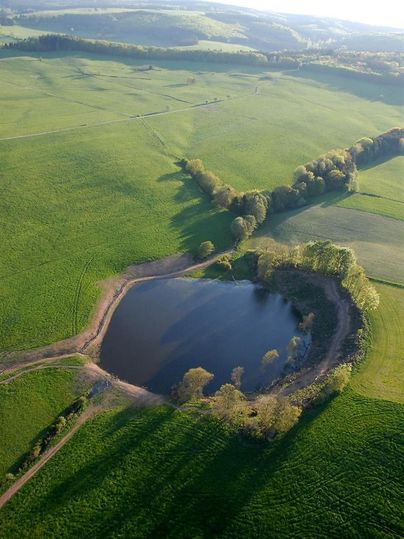 Luftbild des Eichholzmaars, umgeben von grünen Feldern und Bäumen in einer hügeligen Landschaft.