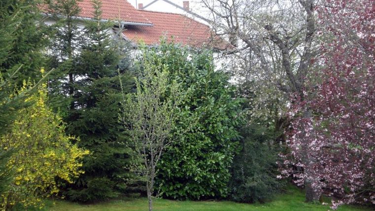 Ein Garten mit verschiedenen Bäumen und Sträuchern. Im Hintergrund sind ein paar Häuser zu sehen.