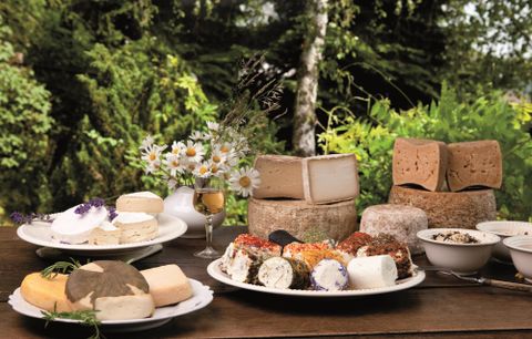 Ein reichhaltiges Käsebuffet im Freien mit verschiedenen Käsesorten auf Tellern. Im Hintergrund sind Blumen und Bäume zu sehen, die eine angenehme Atmosphäre schaffen.