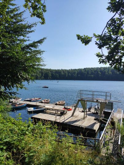 Eine ruhige Seenlandschaft mit einem Steg und mehreren Booten. Die Umgebung ist von dichtem Grün umgeben und der Himmel ist klar und blau.