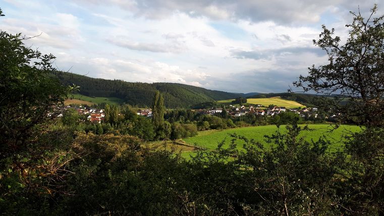 Eine grüne Landschaft mit sanften Hügeln und kleinen Dörfern. Der Himmel ist bewölkt und es gibt viel Vegetation im Vordergrund.
