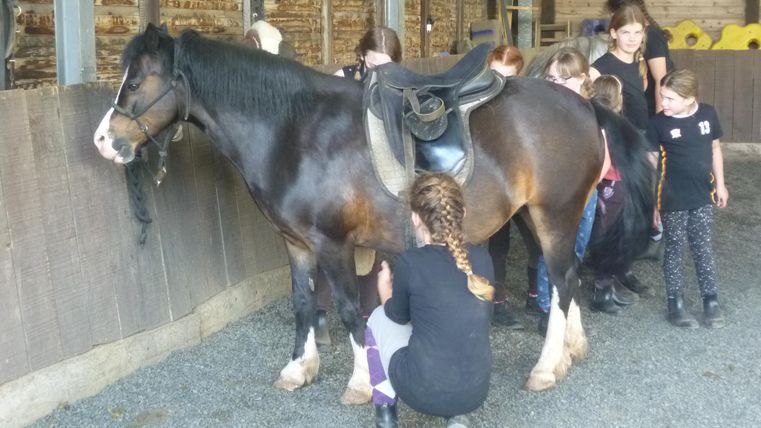 Kinderen in een stald bereiden een paard met zadel voor een rit. Ze dragen zwarte kleding en staan om het paard heen.