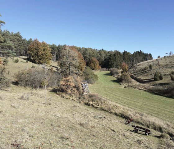 Herfstlandschap met rotsen en weiden onder een strakblauwe hemel., &copy; Touristik GmbH Gerolsteiner Land