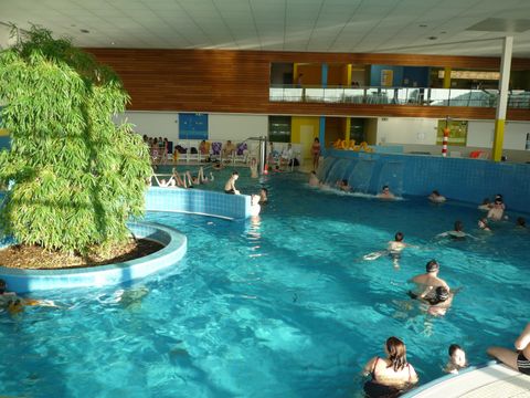 Ein hallenbad mit vielen Menschen, die im Wasser schwimmen. Im Raum gibt es eine große Pflanze und einen sonnigen, hellen Bereich.