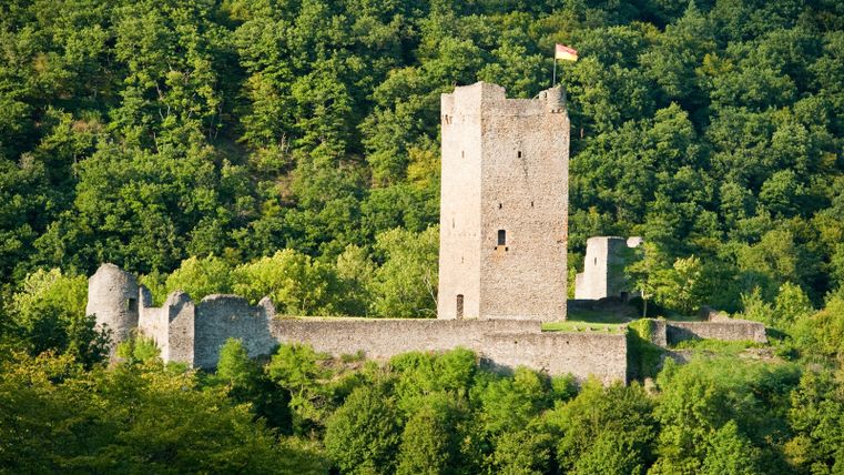 Oberburg der Manderscheider Burgen umgeben von Wald.