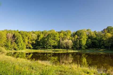 Ein ruhiger See umgeben von grünen Bäumen. Der klare Himmel spiegelt sich sanft im Wasser.