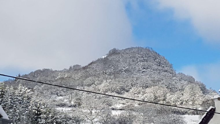 Een met sneeuw bedekte berg onder een heldere blauwe lucht. Het bos op de voorgrond is ook bedekt met sneeuw.