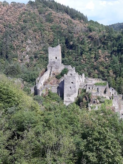 An impressive castle ruin in the midst of green forests. The buildings are surrounded by trees and exude a historical atmosphere.